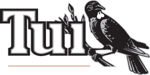 tui db